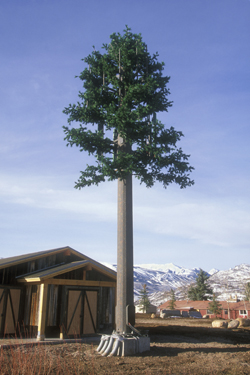 45 ft 2 Branch Monopine 45 ft 2 Branch Monopine