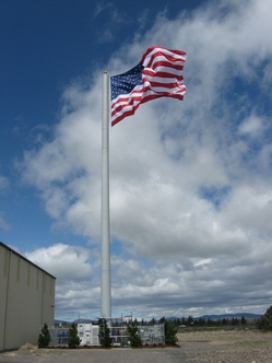 Flag Pole Cell Tower