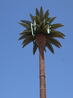 Monopalm Cell Tower