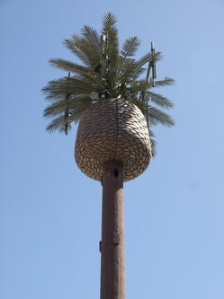 Monopalm